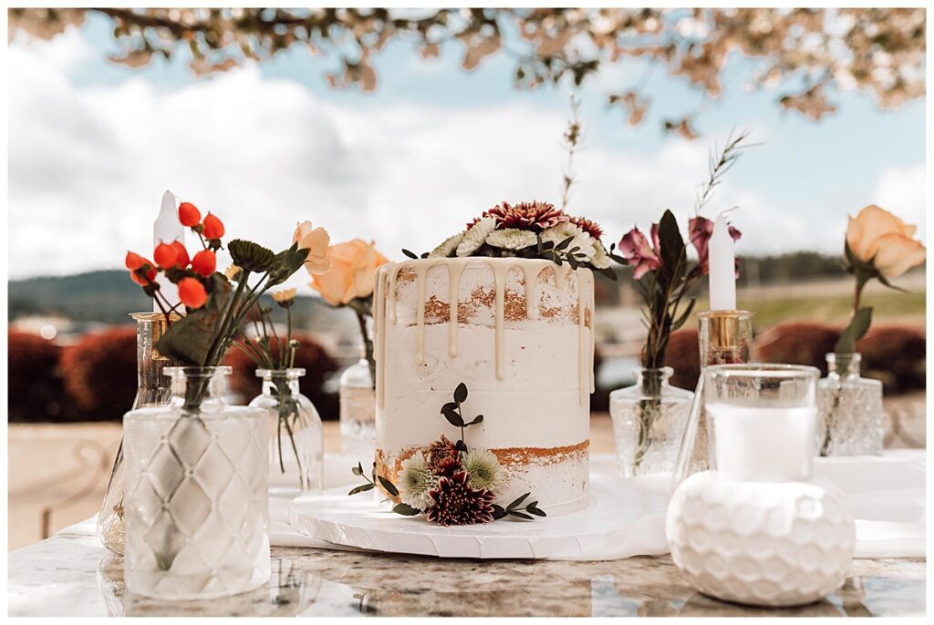 Oregon Wedding Photography - Spring Picnic in the Vines