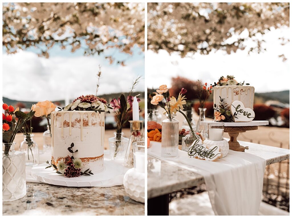 Oregon Wedding Photography - Spring Picnic in the Vines