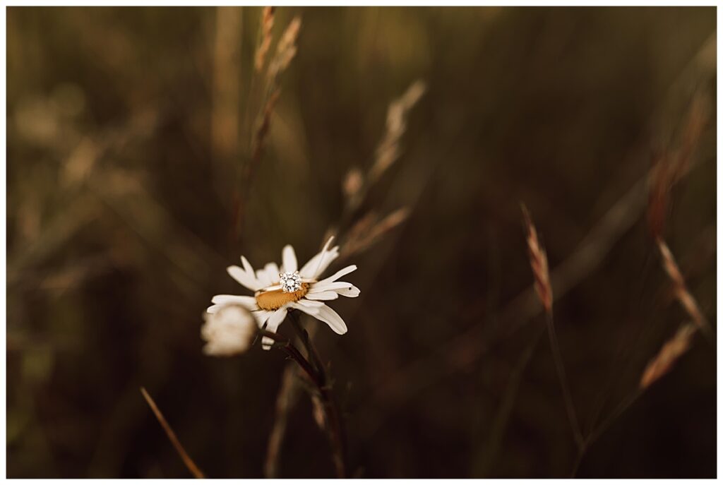 Oregon Engagement Photography - Golden Hour Engagement Session | Kelsey + Lenny